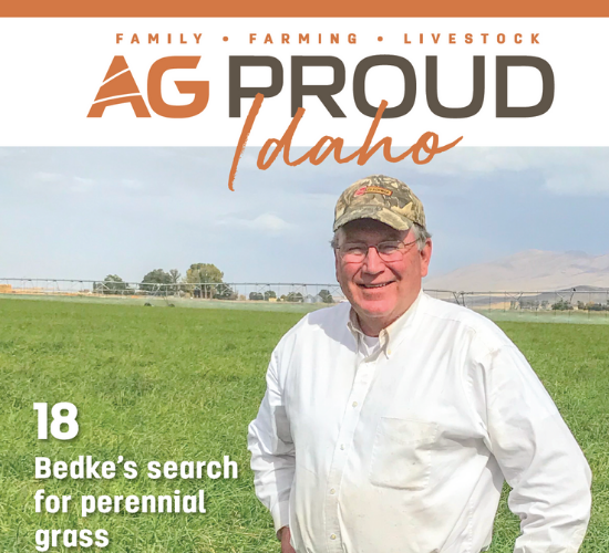 A Magazine Cover of AgProud explaining Terraclear.