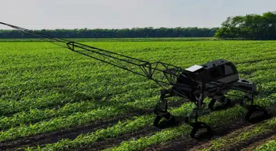 TerraScout rendering in a field to create weed and rock maps