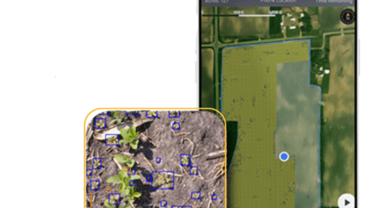 TerraClear Giant Ragweed Map for Organic Farmers