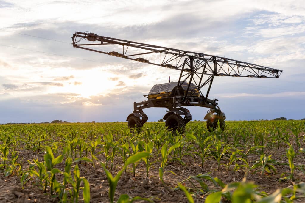 TerraScout in a corn field at sunset