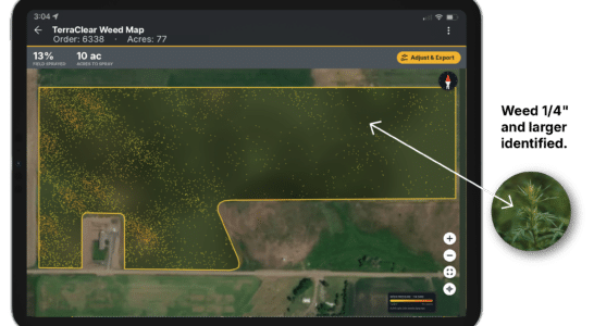 A TerraClear Weed Map on an iPad showing individual weeds down to a 1/4" in size