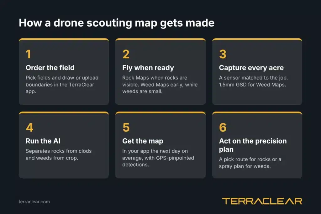 Six steps of drone crop scouting from ordering a field to acting on a precision plan