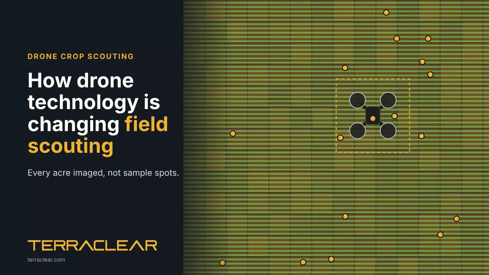 Illustration of a mapping drone imaging an entire crop field for drone crop scouting