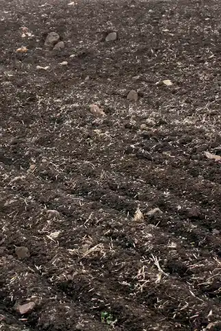 Rocks scattered across a tilled field with corn residue, the kind that damage planters and combines