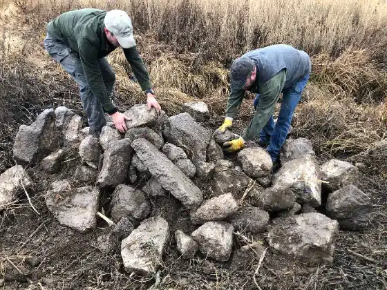 Two farmers stack large field rocks onto a rock pile at the edge of a field