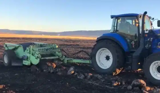 Blue tractor pulling a green rock picker through a field with rocks on the surface