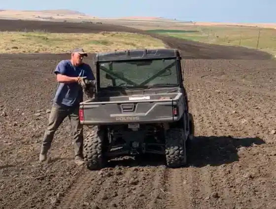 Farmer loads a rock into the bed of a utility vehicle while picking rocks in a tilled field