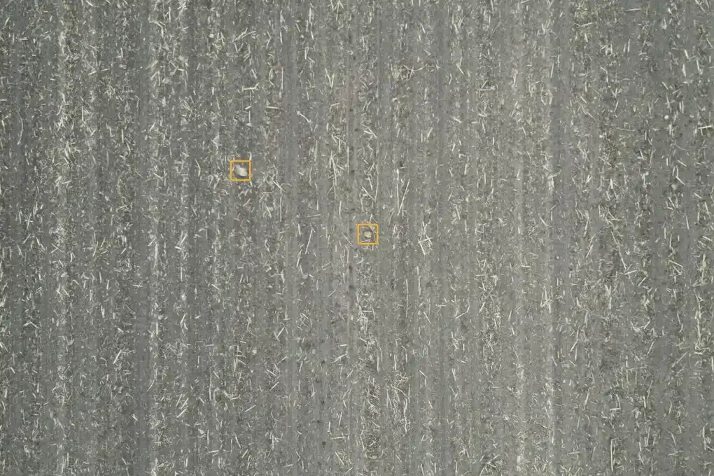 Aerial drone image of a field with two rocks outlined in gold boxes by TerraClear rock detection